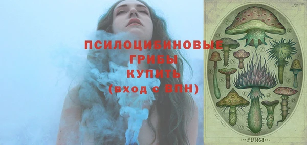 бошки Аркадак