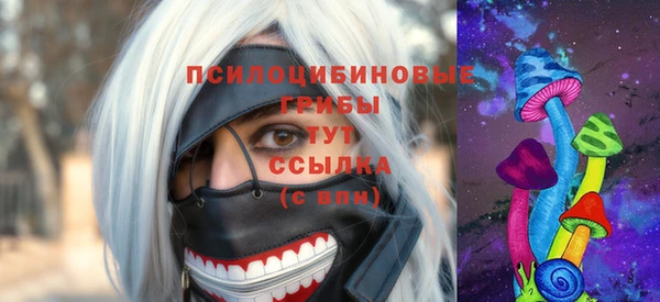 бошки Аркадак