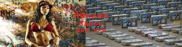 бошки Аркадак
