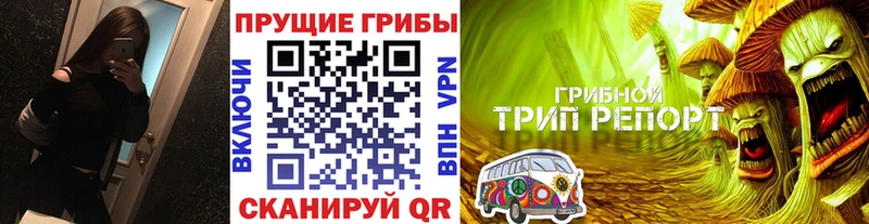 Галлюциногенные грибы Cubensis  Берёзовский 